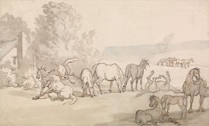Merries en Veulens in een Veld